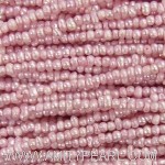 7113 potato pink.JPG